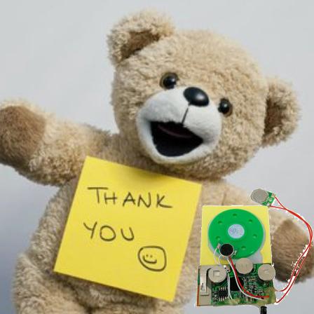 Lichtgeactiveerde geluidsmodule voor aanpasbare cadeauverpakkingen 4