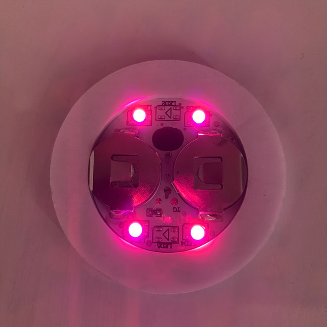 Flessen LEIDENE Stickerlichten met 4 niet Brandbare de Grootte van LEDS 4.5cm×48cm 1