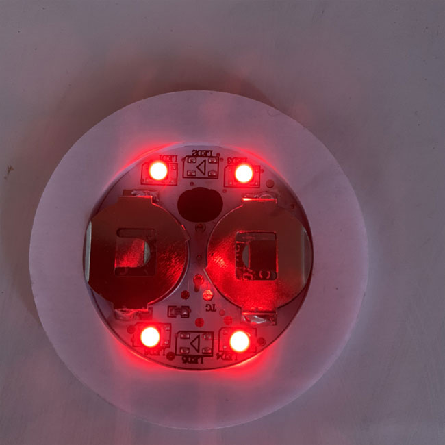 Flessen LEIDENE Stickerlichten met 4 niet Brandbare de Grootte van LEDS 4.5cm×48cm 7