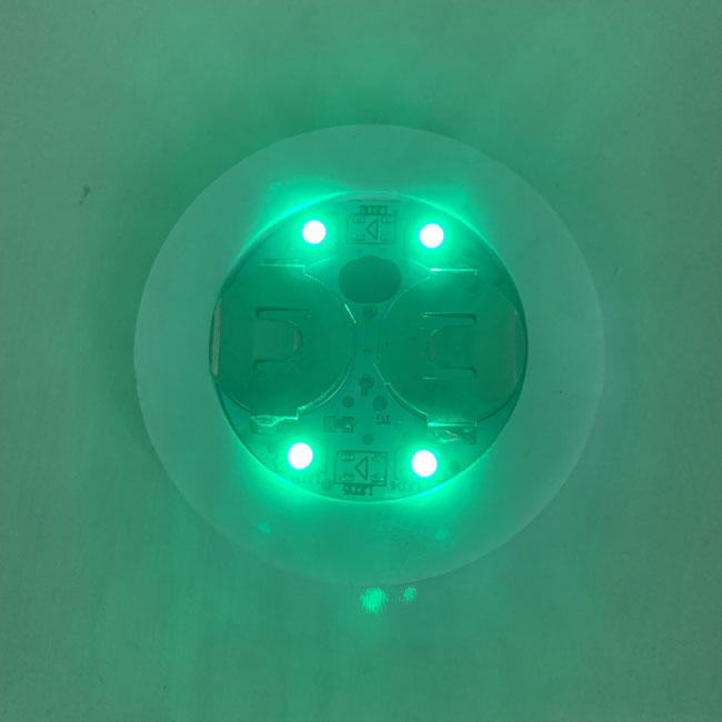 Flessen LEIDENE Stickerlichten met 4 niet Brandbare de Grootte van LEDS 4.5cm×48cm 6