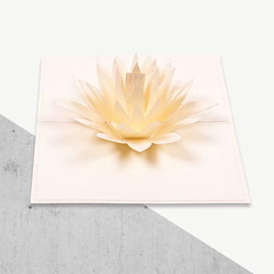 3D compensatie de Druk duikt van de Stroomversnellinglily shape van de Groetkaart FCC van Ce ROHS Certificaten op
